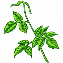 Flowers And Tree Embroidery Design 4